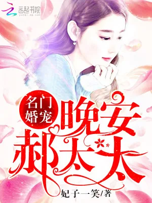 《名门婚宠:晚安,郝太太》小说封面