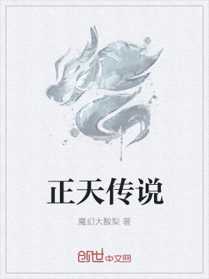 《正天传说》小说封面
