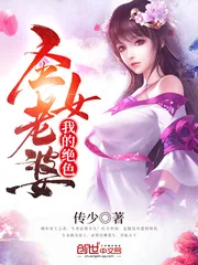 《我的绝色圣女老婆》小说封面
