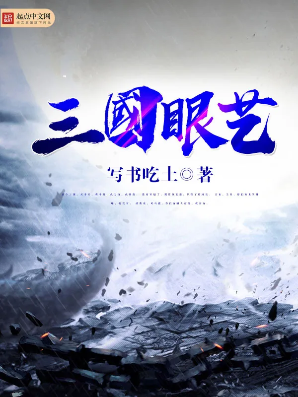 《三国眼艺》小说封面
