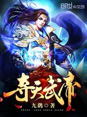 《夺天武帝》小说封面