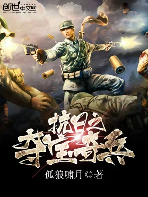 《抗日之夺宝奇兵》小说封面