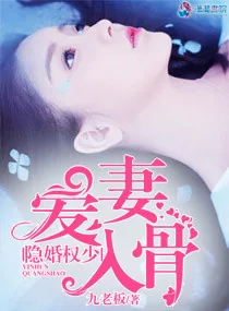 《隐婚权少爱妻入骨》小说封面