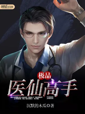 《极品医仙高手》小说封面