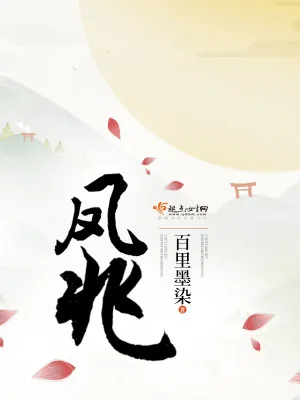 《凤兆》小说封面