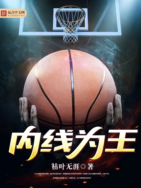 《内线为王》小说封面