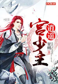 《逍遥宫少主》小说封面
