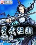 《星武狂潮》小说封面