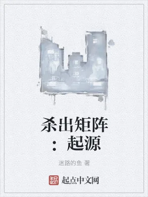 《杀出矩阵：起源》小说封面
