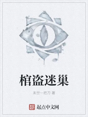 《棺盗迷巢》小说封面
