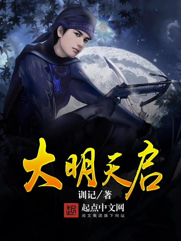 《大明天启》小说封面