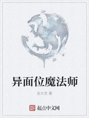 《异面位魔法师》小说封面