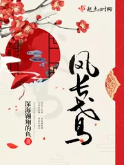 《凤长鸢》小说封面