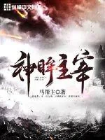 《神眸主宰》小说封面