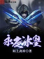 《永夜冰皇》小说封面