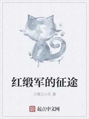 《红缎军的征途》小说封面