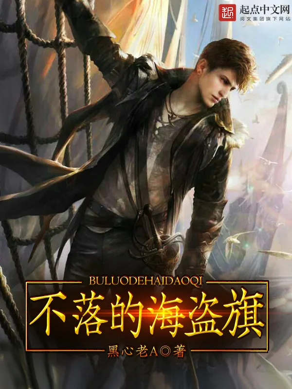 《不落的海盗旗》小说封面