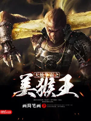 《天地争霸之美猴王》小说封面