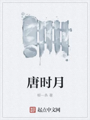 《唐时月》小说封面