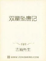 《双星坠唐记》小说封面