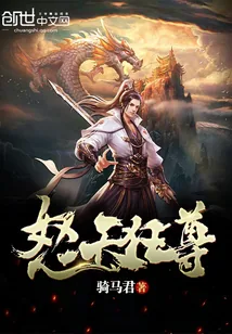 《怒天狂尊》小说封面