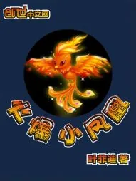 《火爆小凤凰》小说封面