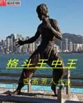 《格斗王中王》小说封面