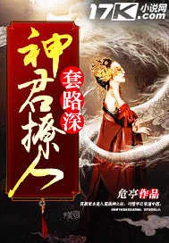 《神君撩人套路深》小说封面