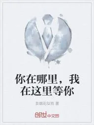 《你在哪里,我在这里等你》小说封面