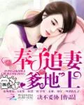 《奉子追妻:爹地,上!》小说封面