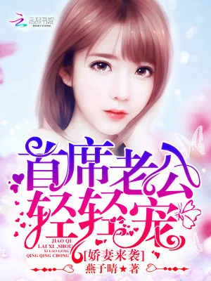 《娇妻来袭:首席老公,轻轻宠》小说封面