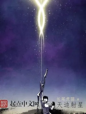 《天边射星》小说封面