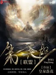 《联盟第一英雄》小说封面