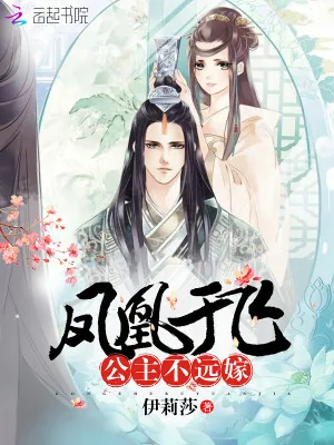 《凤凰于飞：公主不远嫁》小说封面