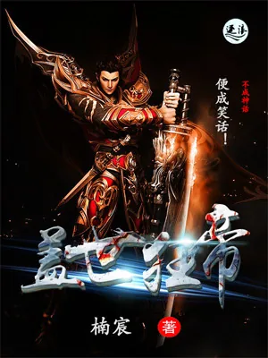 《盖世狂帝》小说封面