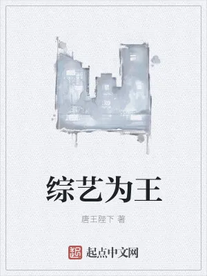 《综艺为王》小说封面