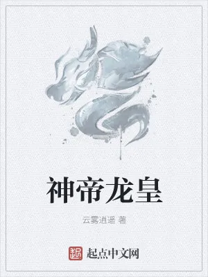 《神帝龙皇》小说封面