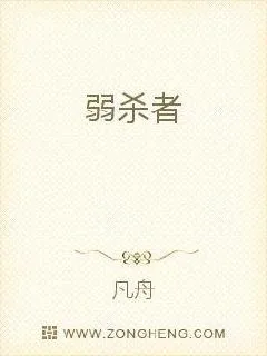 《弱杀者》小说封面
