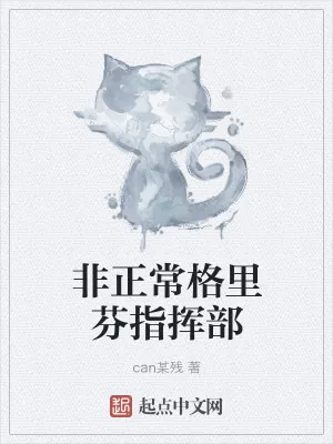 《非正常格里芬指挥部》小说封面
