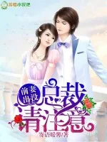 《前妻出没,总裁请注意!》小说封面