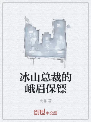 《冰山总裁的峨眉保镖》小说封面