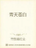 《青天苍白》小说封面
