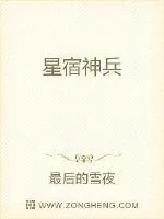 《星宿神兵》小说封面