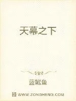 《天幕之下》小说封面