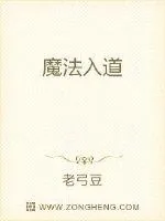 《魔法入道》小说封面