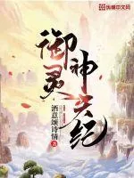 《御灵神天纪》小说封面