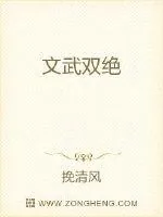 《文武双绝》小说封面