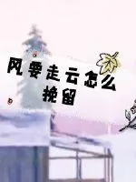 《风要走云怎么挽留》小说封面