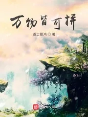 《万物皆可拼》小说封面