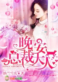 《晚安，总裁大人》小说封面